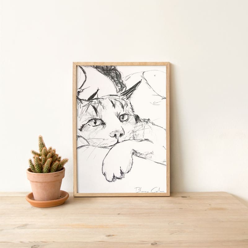 https://blancagalvez.com/pinturas-personalizadas-animal/